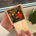 Normies - Brick Duo mit Holz Kiste Display