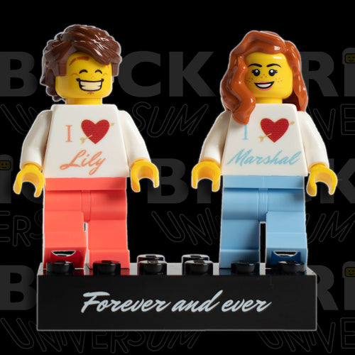 Normies - Brick Duo mit Holz Rahmen Display